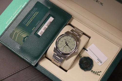 Rolex Oyster Perpetual Pistachio Dial 41mm Steel 134300 2026 Full Set
