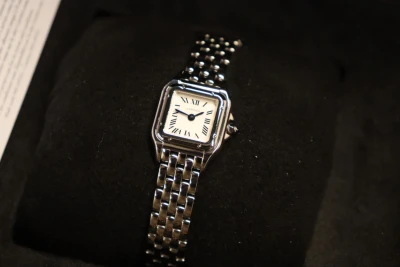 Cartier Panthere Mini 25MM Stainless Steel WSPN0012 Quartz Full Set 2025